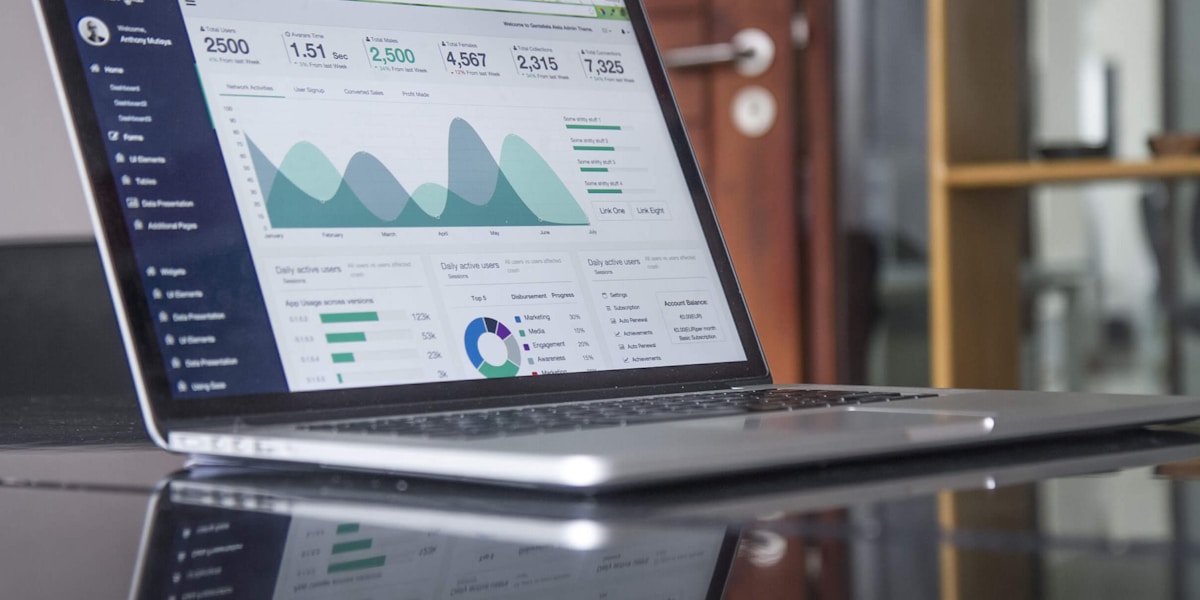 Website design showcase